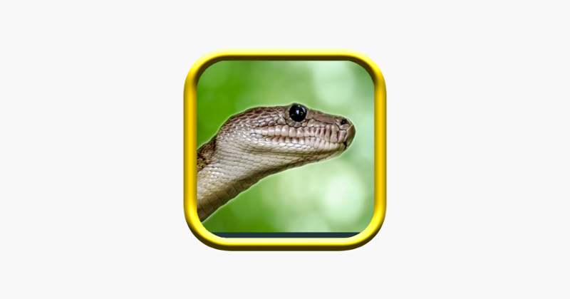 Snake Rampage - A Snake Game Game Cover