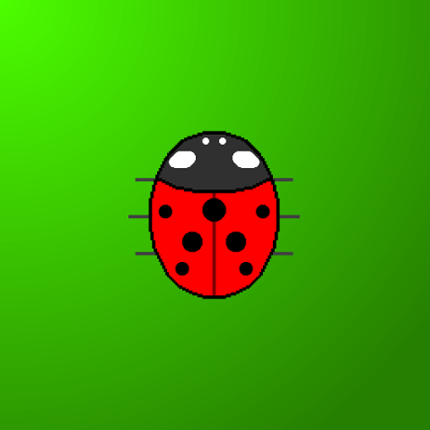 Touch the Ladybug Image