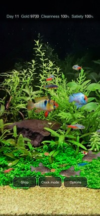 Tropical Fish Tank - Mini Aqua screenshot
