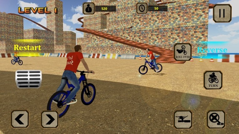 BMX Racer Crazy Stunts Image