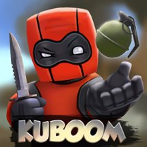 KUBOOM 3D: FPS shooting games Image