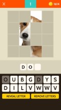 Pic Quiz: Fun Word Trivia Game Image