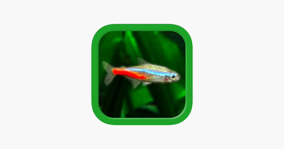 Games like Tropical Fish Tank - Mini Aqua