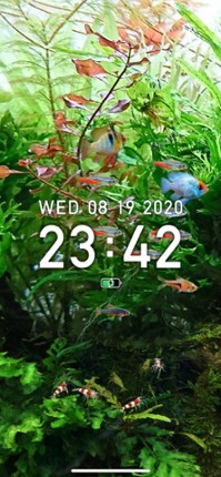 Tropical Fish Tank - Mini Aqua screenshot