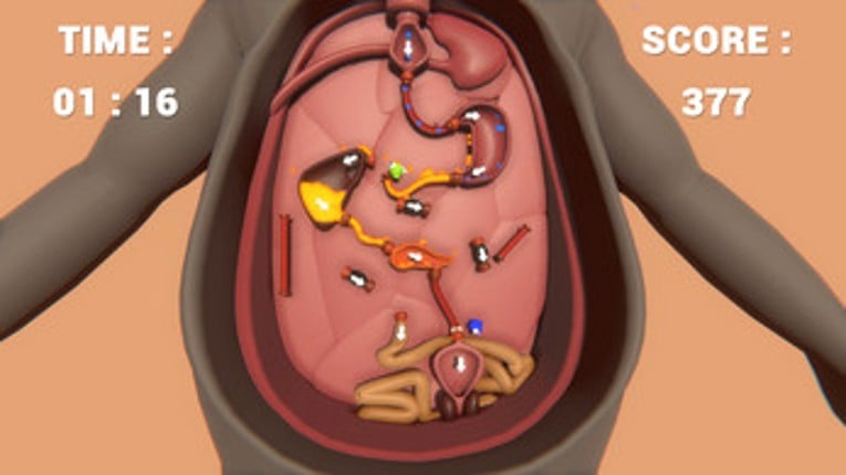 Almost Accurate Body Simulation (AABS) Image