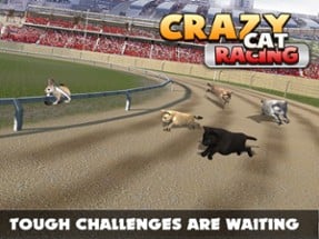 Cat Racing Free Game Image