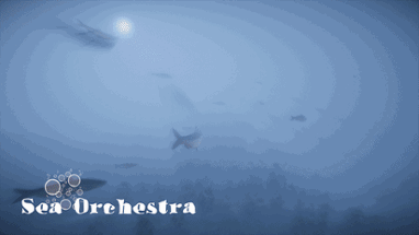 Sea Orchestra Image