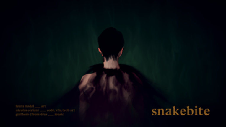 snakebite Image