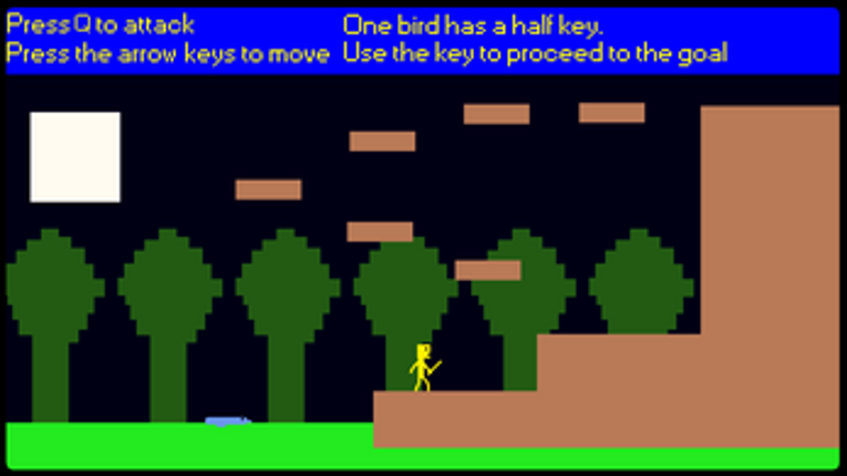 The search for the Bird Treasure. Image