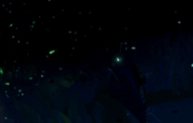 Shadows of the Deep Image
