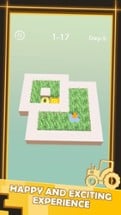 Grass Maze Image