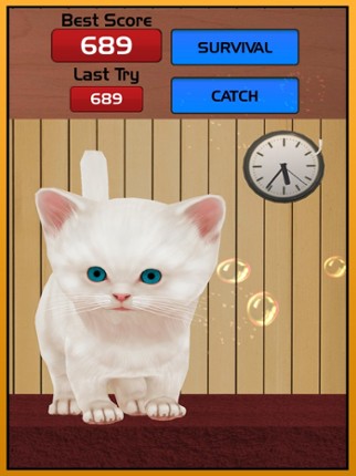 Lost Cat running game for kids – Angela Pet Kitten screenshot