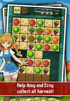Farm Adventure Match Image