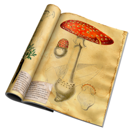 Herbarium Sanctum Image