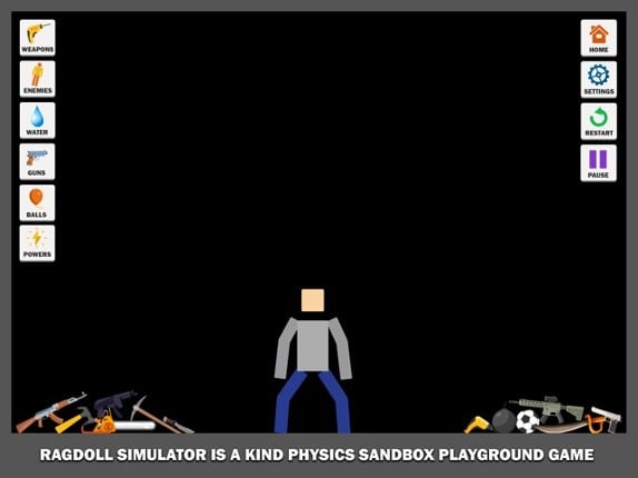 Ragdoll Simulator Image