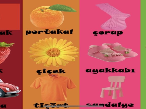 Renkler Şekiller Sayılar screenshot