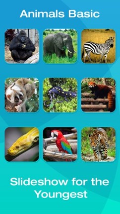 Safari and Jungle Animal Picture Flashcards for Babies, Toddlers or Preschool (Free) screenshot