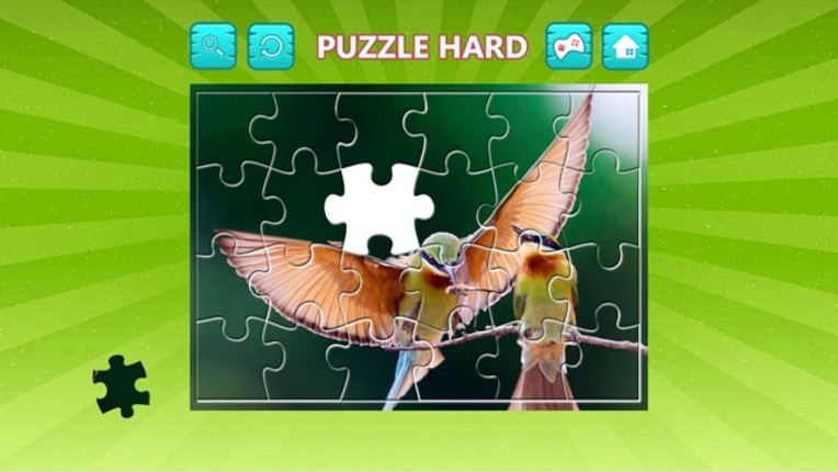 Bird Jigsaw Easy and Hard - Learn Puzzles For Kids Image