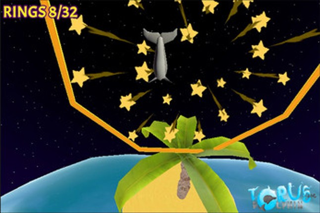 Torus The Dolphin Image