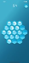 Hex Puzzle Image