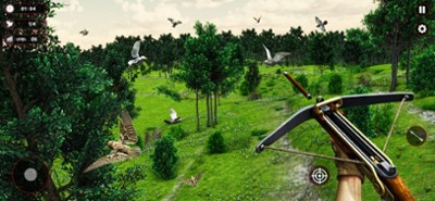 Jungle Birds Hunting Shooting Image