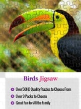 Puzzles Amazing Jigsaw Birds Collection Pro Image