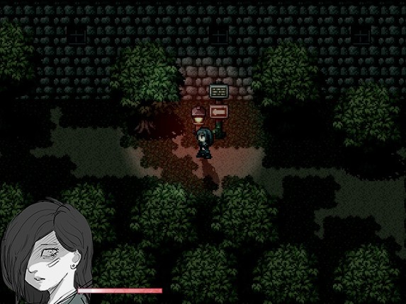 The Lady Puppet Image