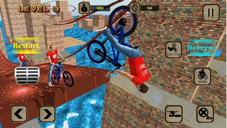 BMX Racer Crazy Stunts screenshot