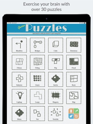 Genius Puzzles Image