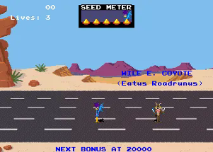 Road Runner Image