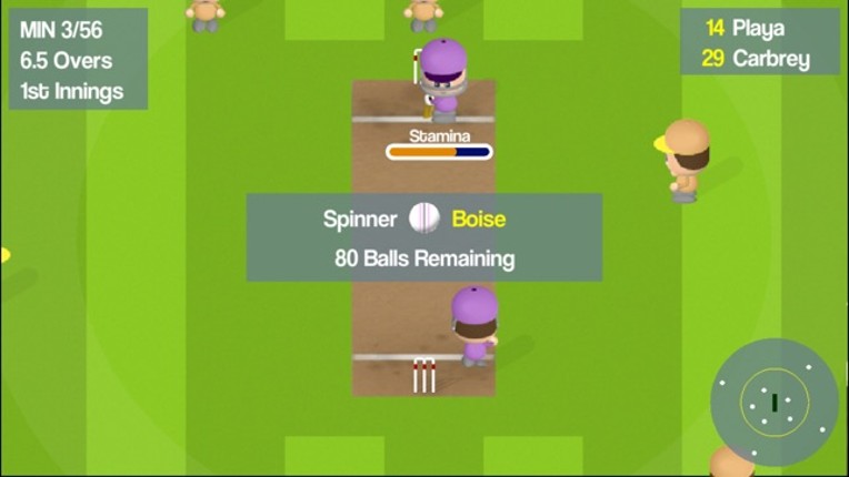 Smashtastic Cricket screenshot