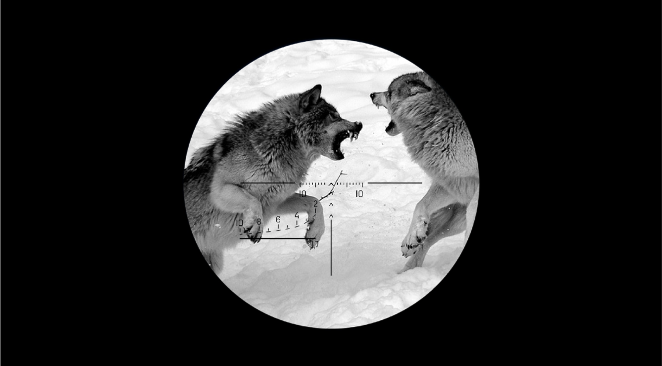 Games like ​Dangerous Animals