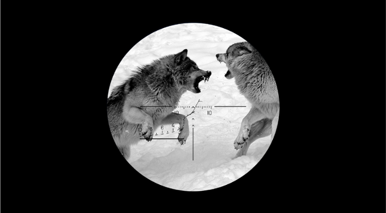 ​Dangerous Animals Image