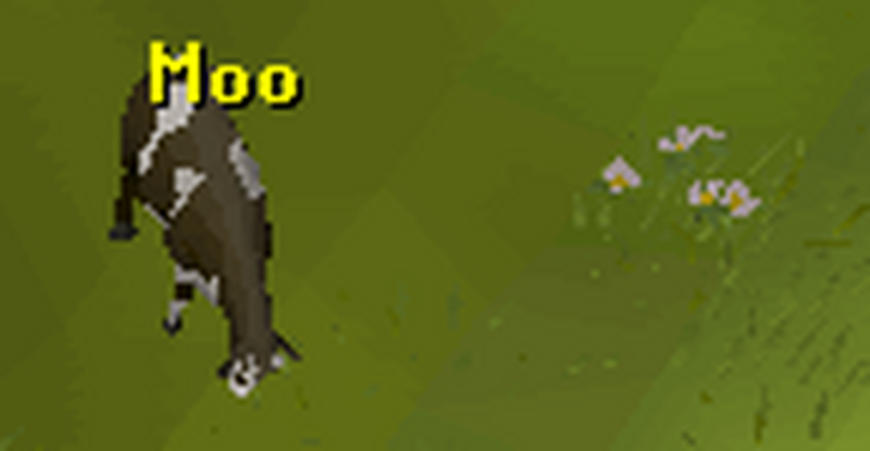 Flowers for the Void Cow screenshot