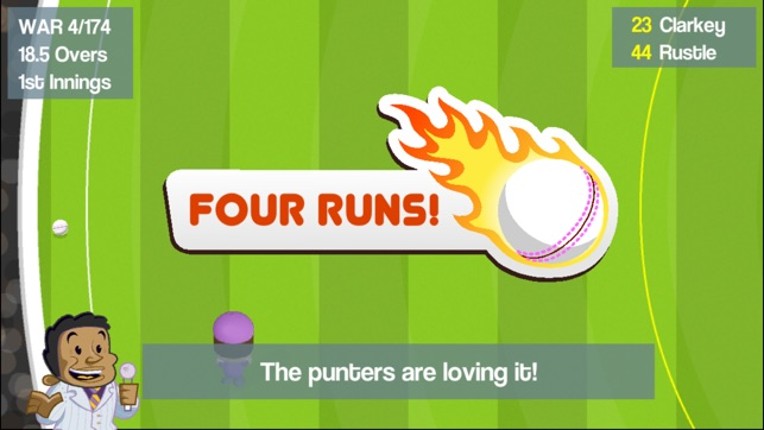 Smashtastic Cricket screenshot