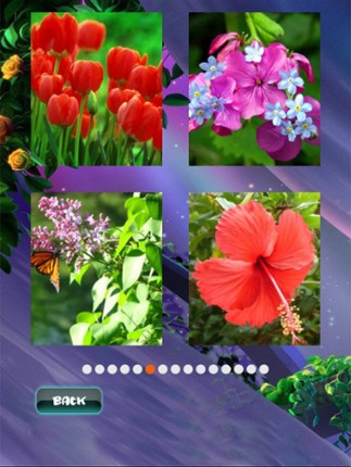 Spring Jigsaw Puzzles screenshot