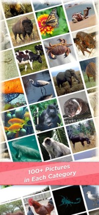 101 Pics.io screenshot