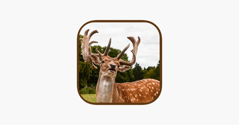 Extreme Stag Simulator 3D Image