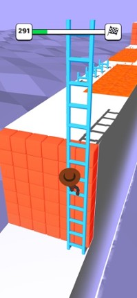 Ladder Run 3D Image