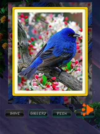 Spring Jigsaw Puzzles screenshot