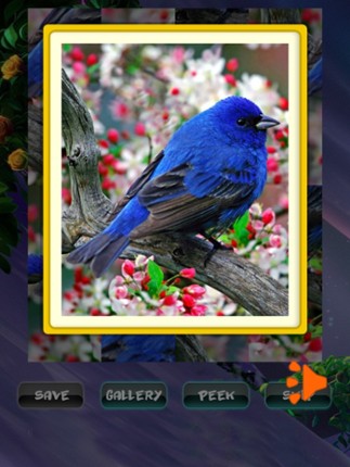 Spring Jigsaw Puzzles Image