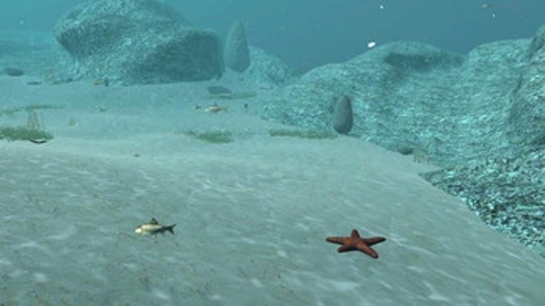 The Deepest Point in the World Image