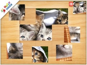 Activity Photo Puzzle (by Happy Touch games for kids) Image