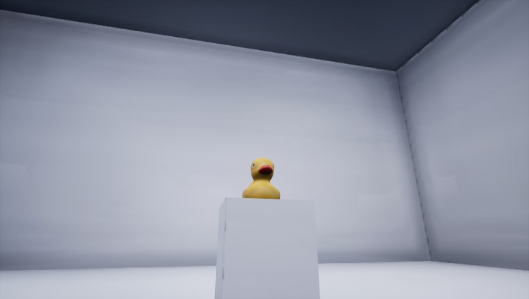 Duck Duck Goose screenshot