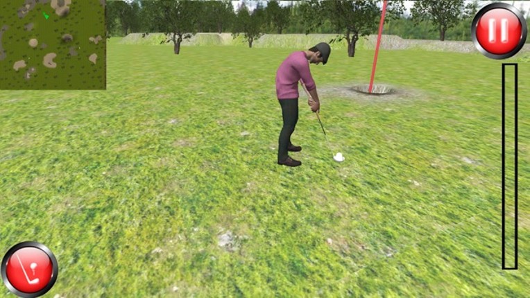 Golf Pro - Golf Challenge 3D screenshot