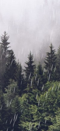 Rain Calm Meditation screenshot