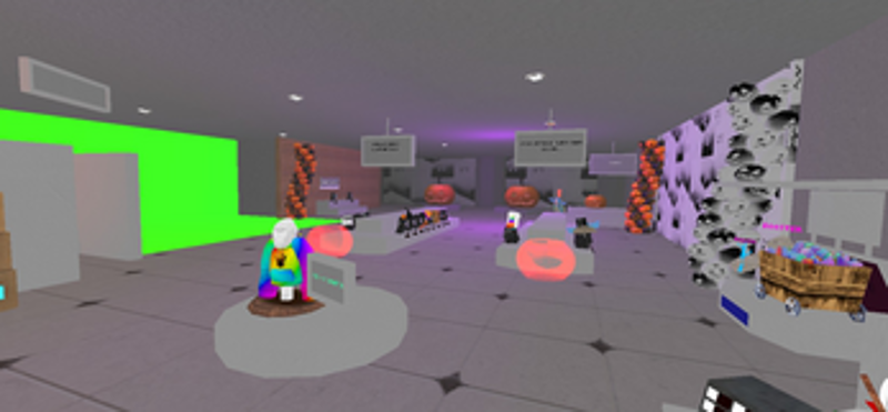 Real Project Echo Image