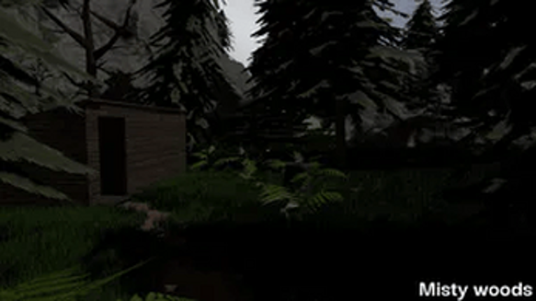 Misty Woods screenshot