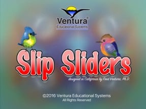 Slip Sliders Image