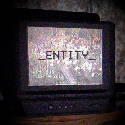 _ENTITY_ Image